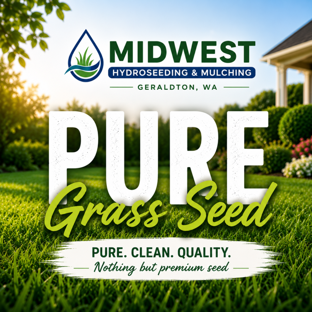 Pure Grass Seed